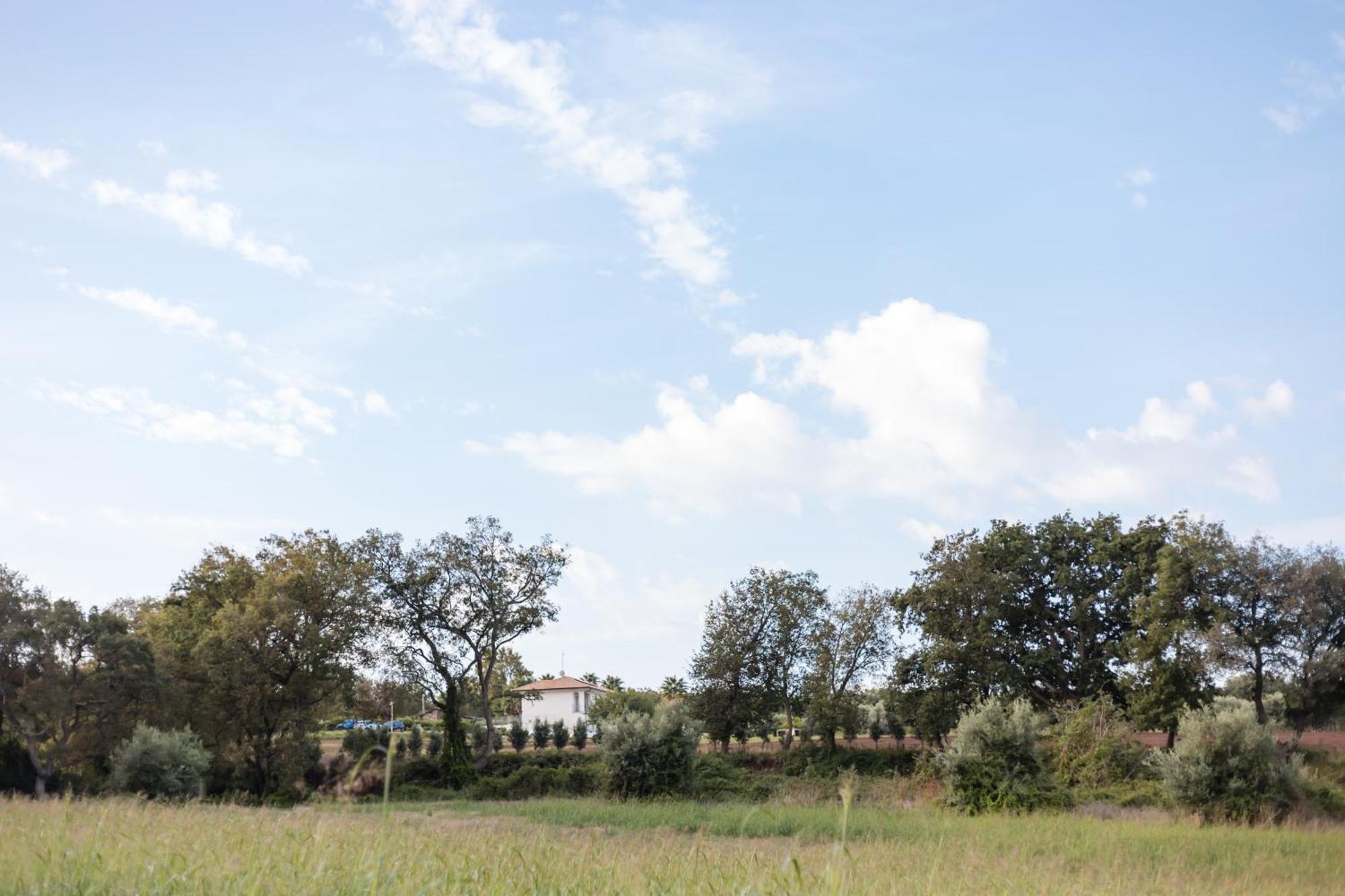 Villa Eirene Ricadi Exteriör bild